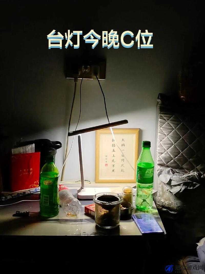 七天七夜彻底失去理智后的疯狂经历与探索