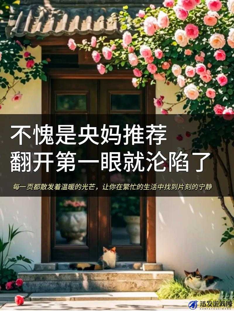 www 亚欲：带你领略不一样的精彩世界