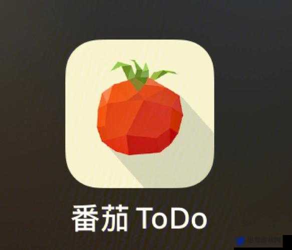 番茄todo社区看片免费版：一款功能强大的应用软件