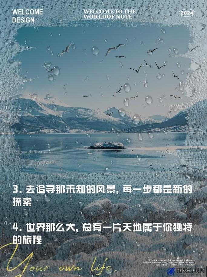 输入WWW你会感谢我的：带你探索未知的惊喜之旅