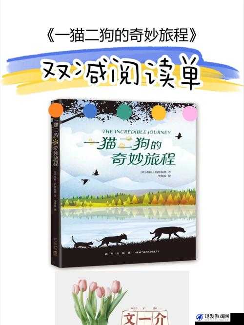 俄罗期浓毛 BBX X：一段跨越文化与语言的奇妙旅程