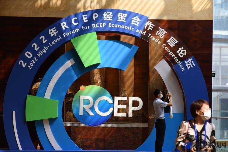 日本 RCEP 相关话题中岳妇伦丰满引发的热议探讨