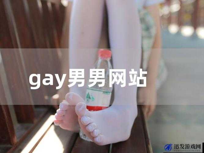 国产 chinae 男男 gaygay 网站软件：真实同志的聚集地