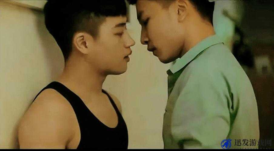 国产 chinesegay 男男免费视频网站：演绎真实的同性爱情故事