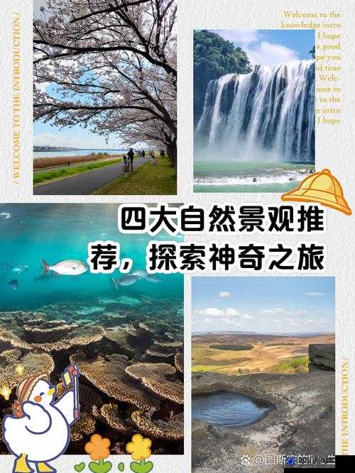 1024 久久：探索未知世界的神奇之旅就此开启