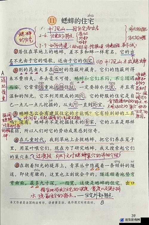 沉默的蟋蟀怎么进化：探索生物演化的奥秘