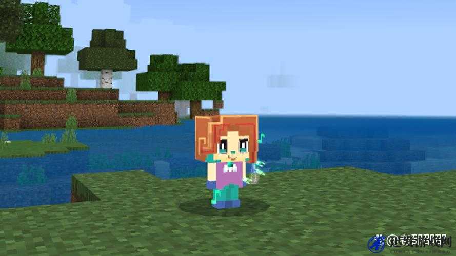 老外 Minecraft 中的女性角色：勇敢与智慧的象征