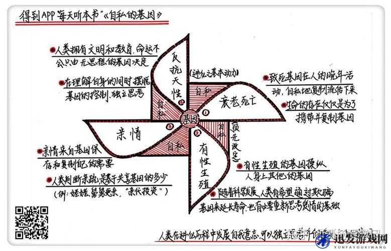 从人性理论与XY 理论的关系看管理的科学性与人的积极性