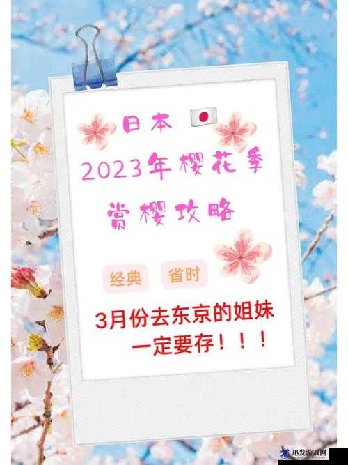 樱花官网官方入门网站 2023 ：开启精彩探索之旅