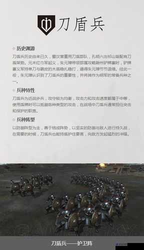 兵营建设新视角，深度解析刀盾兵种在军事战略与防御中的核心作用