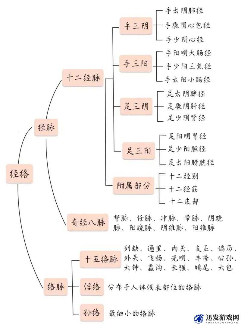 深入探索人体奥秘，揭秘经脉体系及其修炼方法与攻略