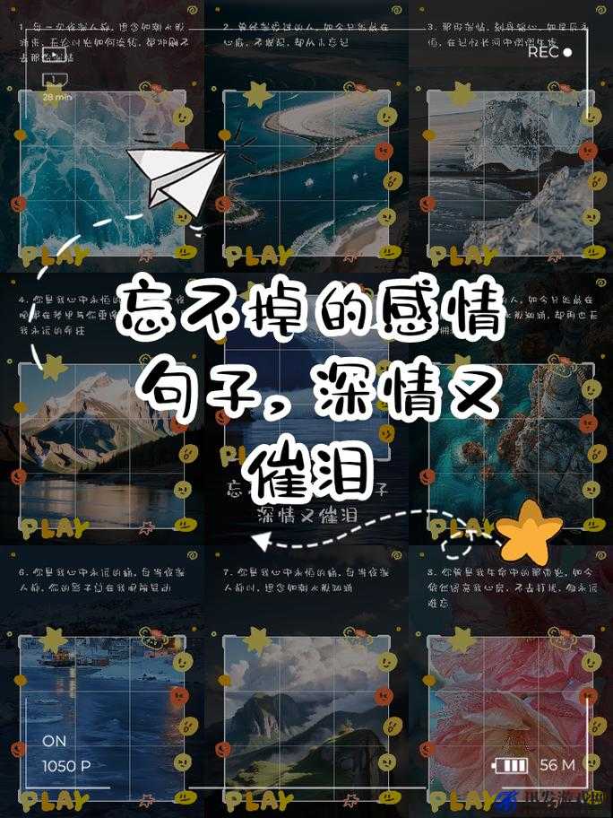 野兽的夜晚第三季忘不掉的前任：那些刻骨铭心的旧爱记忆