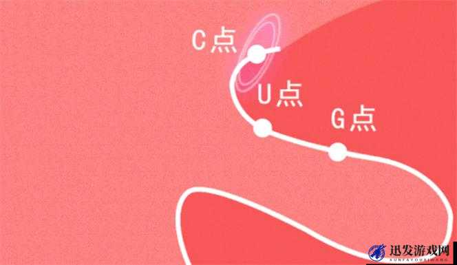 自 W 到高 C 的 50 种图片教程视频：教你轻松达到巅峰