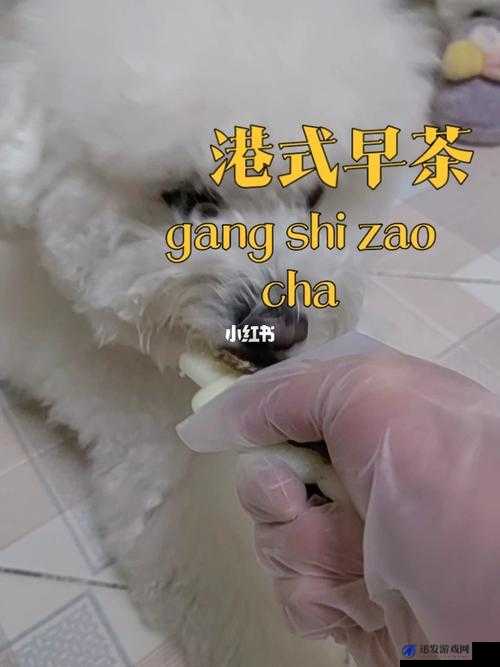 高清狗狗和人胶配方大全：揭秘独特的制作方法