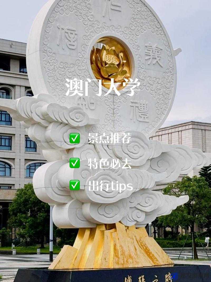 红桃视频解说：走进澳门，感受独特魅力