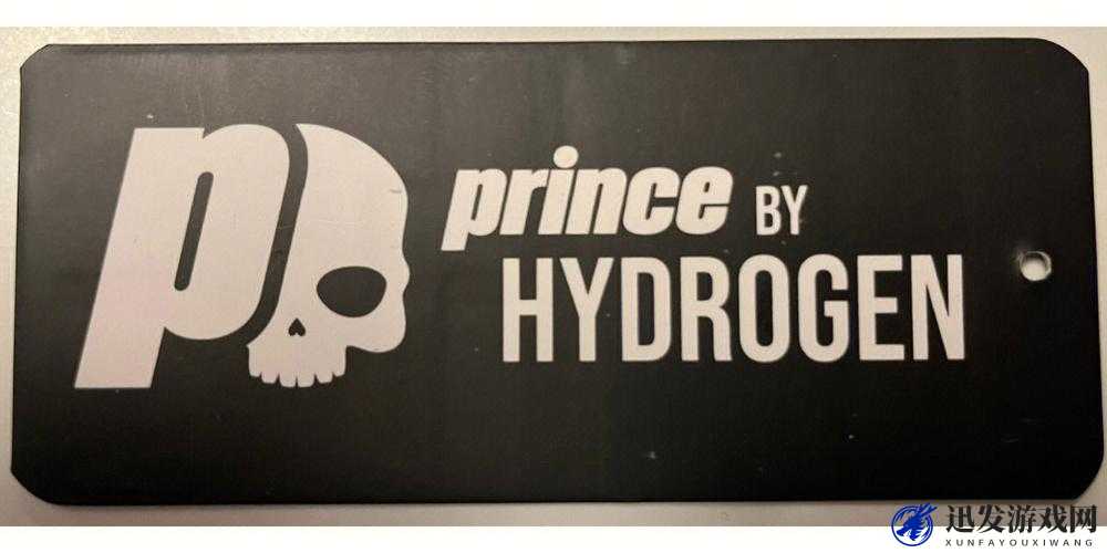 PRINCE 与 HYDROGEN：从基础到未来的探索