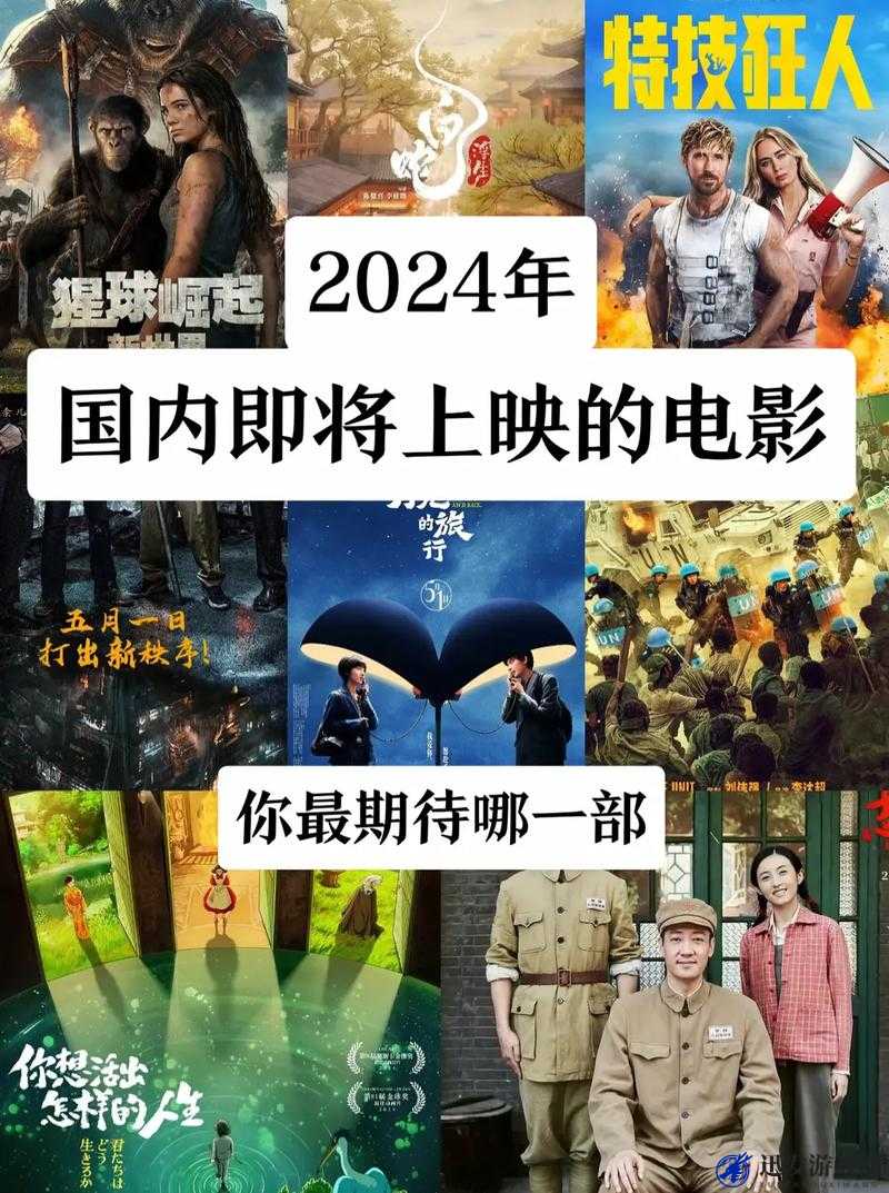 最好看的 2024 国语字幕电影：带你领略华语电影的魅力