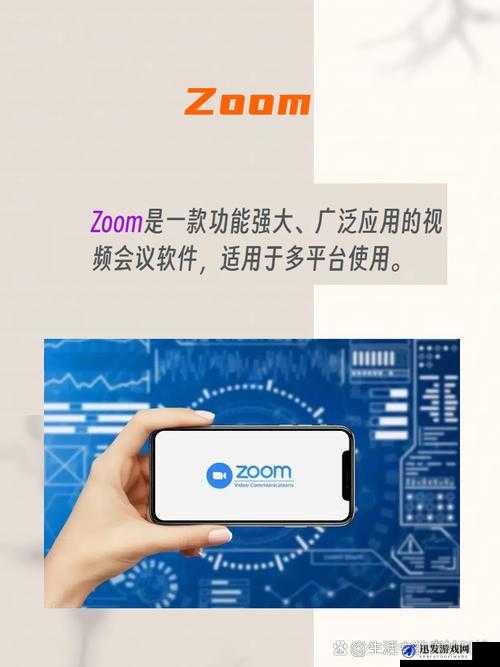 Zoom 与 ZoomHD 性能比较：谁更胜一筹？