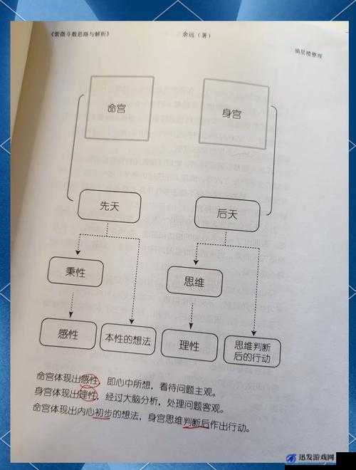 另一类 Z00M 与人性 Z00M：探索其背后的奥秘与影响