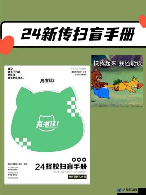 九龙战新手全面指南，从零开始的扫盲手册与实战攻略