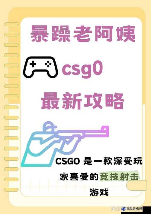 暴躁老阿姨 CSGO 技巧分享：教你成为 CSGO 高手