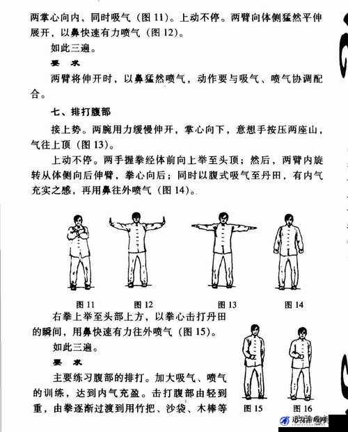 峨眉派一阶与二阶内功属性全面解析及特点介绍