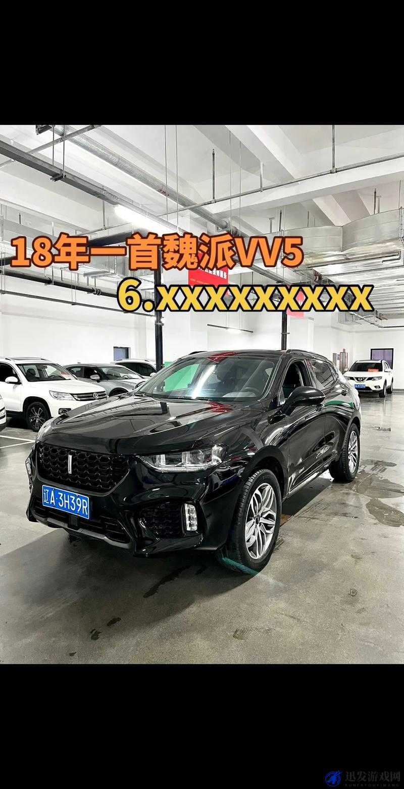 国产 SUV 之翘楚——WEY VV5 引领非凡驾驶体验