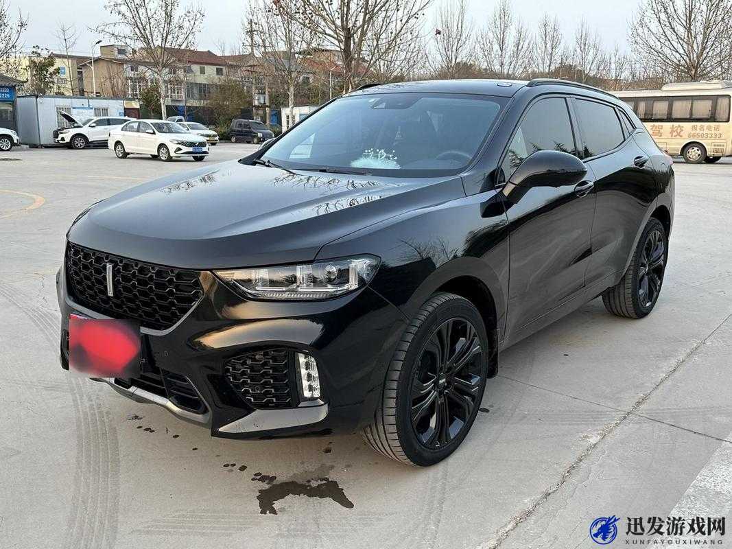 weyvv5 国产的 SUV 免费：畅享高品质座驾无需费用