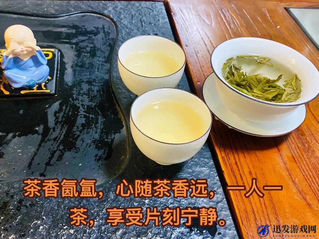 51 品茶最新：畅享品质茶香新体验