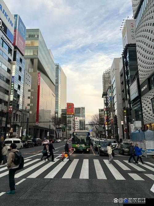 日本高清一区精彩大片汇聚之地