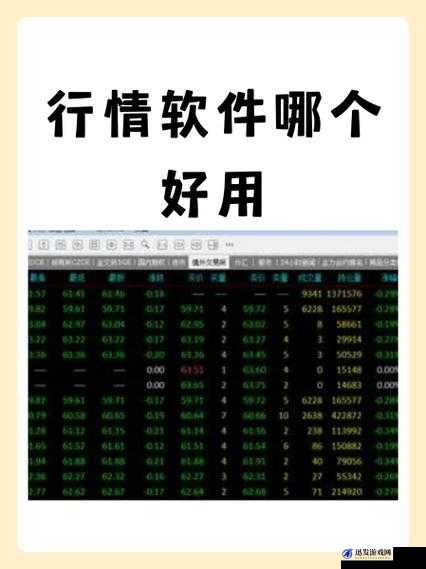 免费观看行情软件网站进入：畅享便捷行情资讯通道