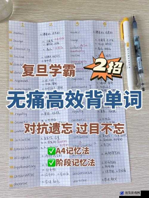 坐在学霸鸡上背单词双楠：开启高效记忆单词之旅