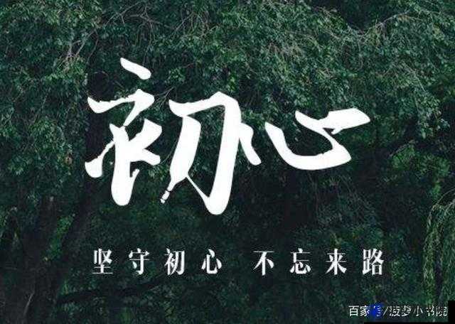 披风少年：在风云变幻中坚守初心追逐梦想的勇者