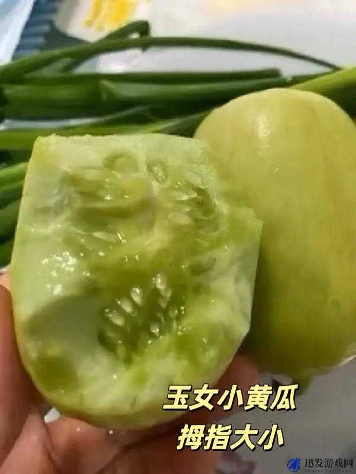 ：水果与蔬菜的奇妙碰撞：草莓樱桃丝瓜秋葵榴莲黄瓜大揭秘