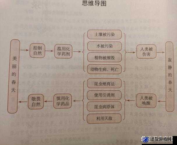 一前一后三个人过程怎么写：详细解析与深入探讨