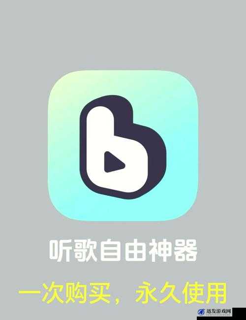 十 8 禁用的 B 站 APP 免费：畅享无阻碍的精彩内容