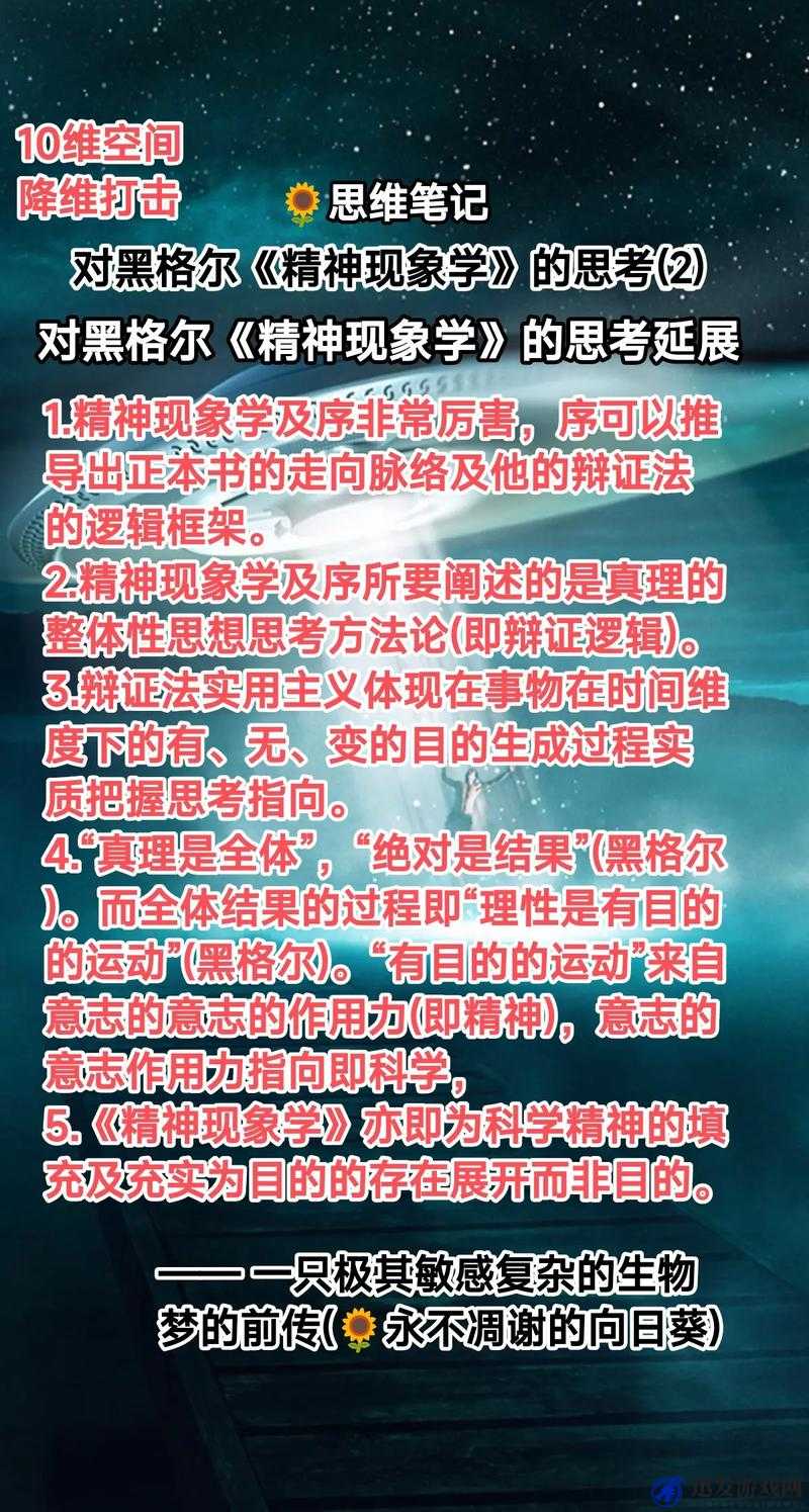 午夜理论：对神秘现象的独特探索与思考