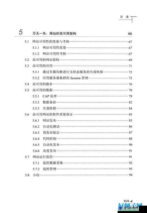 中文成品网站源码隐藏通道相关技术原理与实际应用探讨