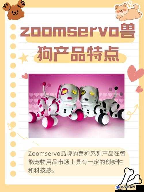 ZOOMSERVO 兽狗牧场的奇妙冒险：探索未知的奇妙世界