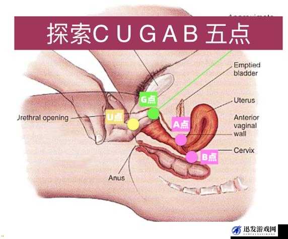 三十六式阴阳技巧口诀视频教学：让你成为两性关系的高手