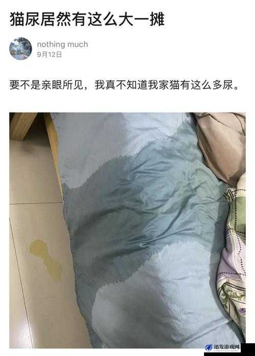 极致潮吹：不可错过的视觉盛宴