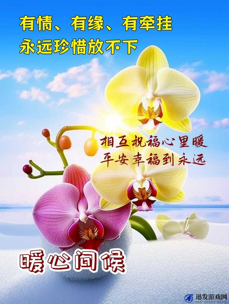 老公每天晚上吃小花园对身体好吗：探究健康与性福的关系