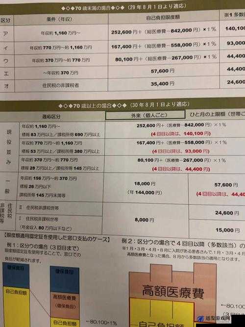 私人医院的特殊治疗日本：探究其背后的医疗模式与成效