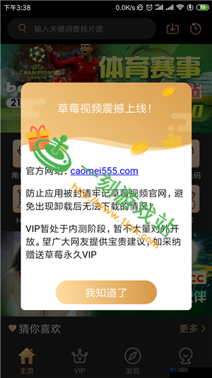 草莓 APP 下载免费版大全：涵盖丰富内容的必备软件宝库