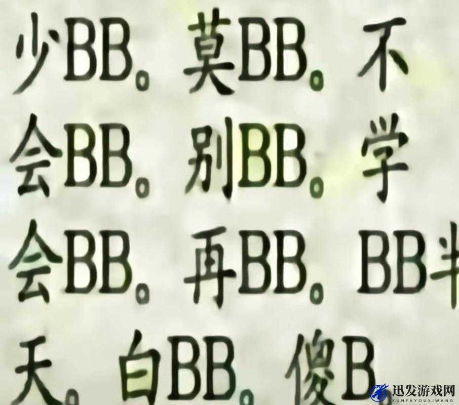 搡 BBBB 搡 BBB 搡：关于其具体含义与相关探讨