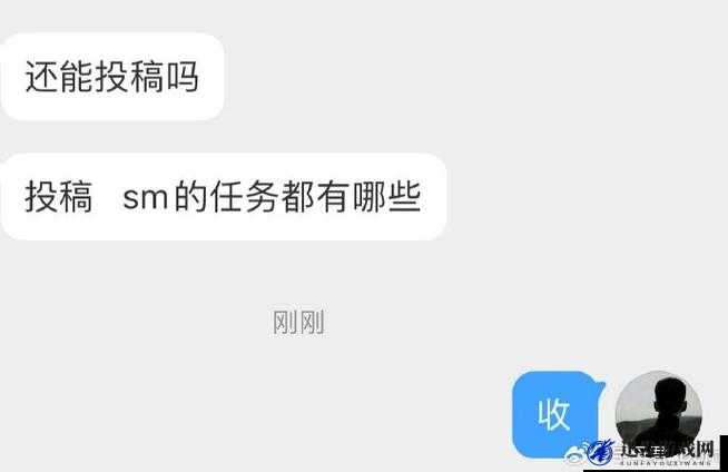 m 圈的 100 个任务及着装之详细解析与具体要求介绍