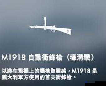 战地1M1918冲锋枪深度解析，版本选择策略与使用技巧全攻略