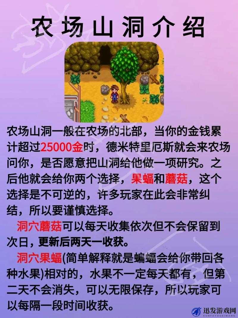 星界边境，揭秘农场作物高效种植策略，解锁财富增长新密码