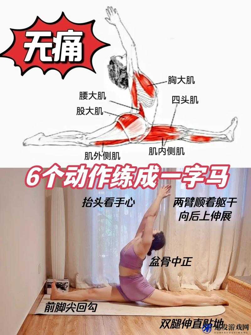 一字马是张开还是闭合：关于一字马的姿势探讨