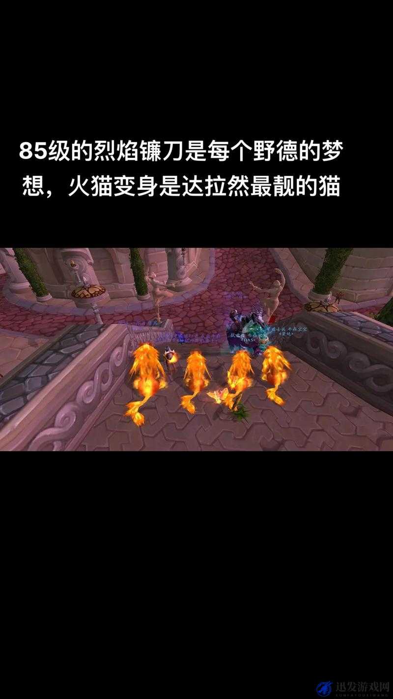 揭秘魔兽世界奶牛之王，珍稀掉落物品背后的秘密与高效攻略指南